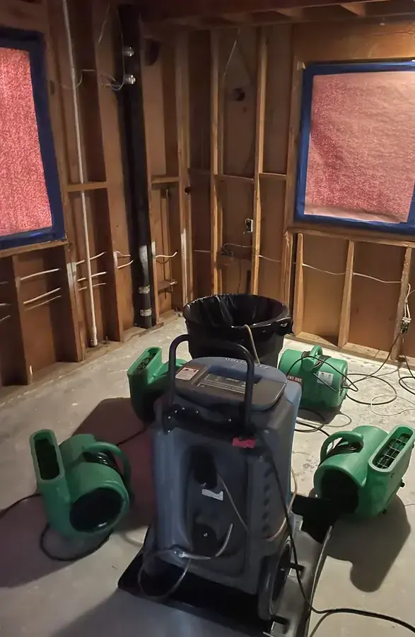 Air movers and a dehumidifier drying exposed framing in a Greeley room